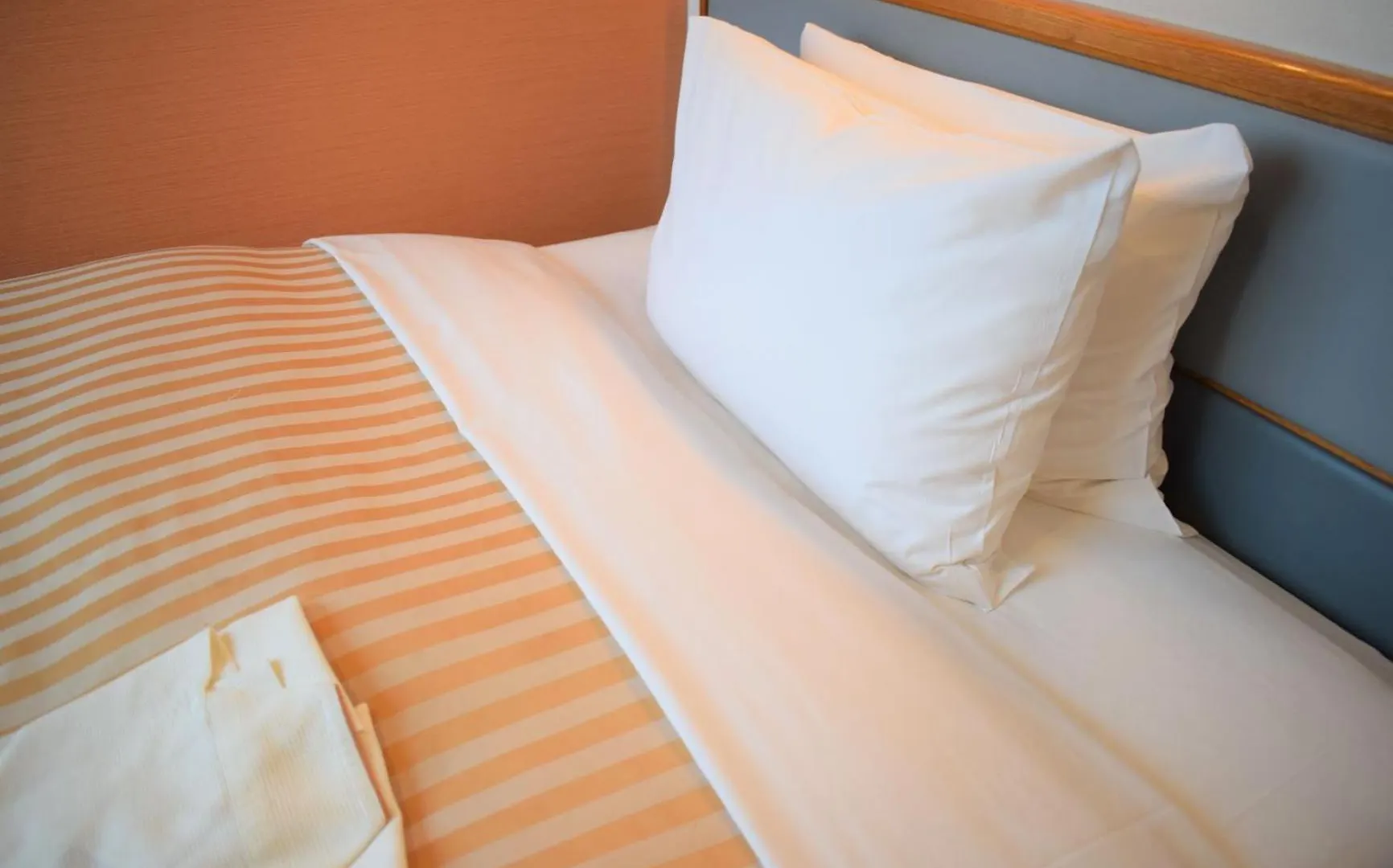 Grand Hotel Kanachu Hiratsuka 3*,  Japan